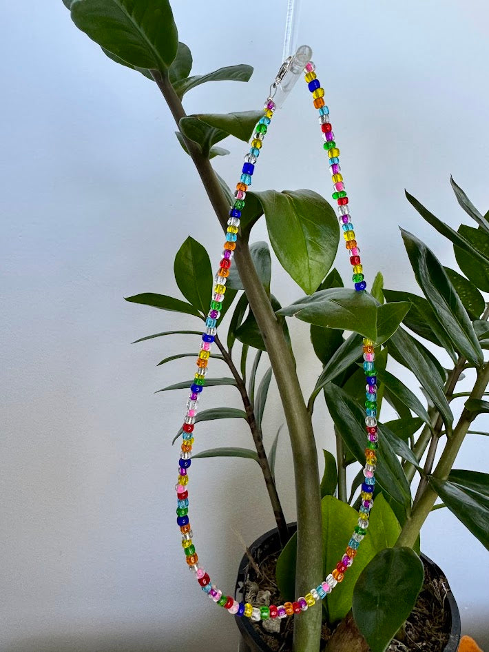 Rainbow Seed Bead Necklace
