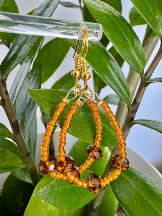 Orange and Brown Oval Hoop Earrings